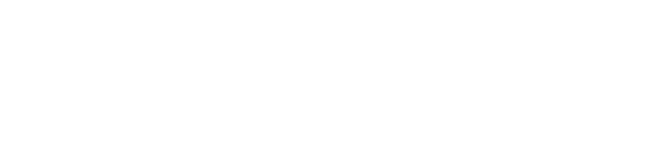 Bauservice Ljesnjanin Schriftzug ws